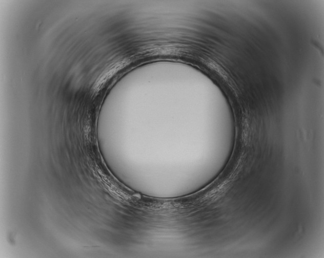 X0000100310922200806261158