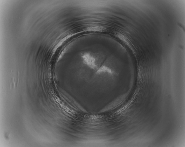 X0000100310923200806261158