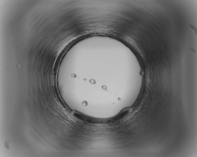 X0000100310924200806261158