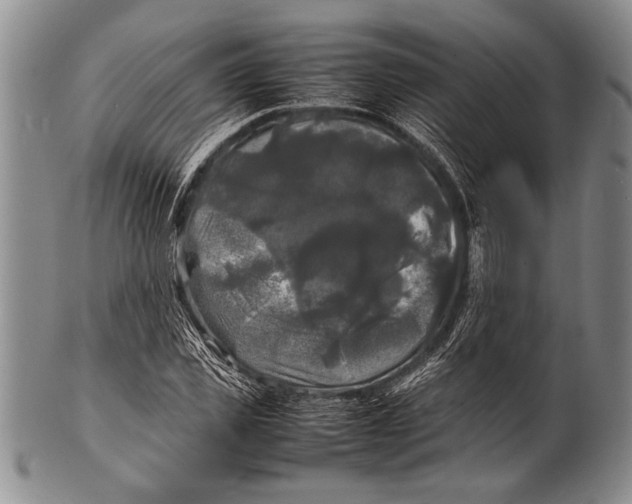 X0000100310925200806261159