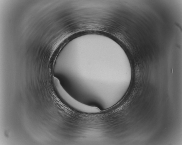 X0000100310926200806261159