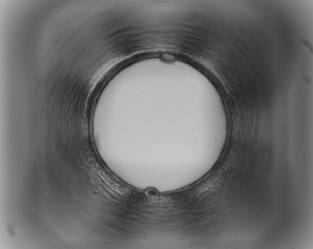 X0000100310927200806261159