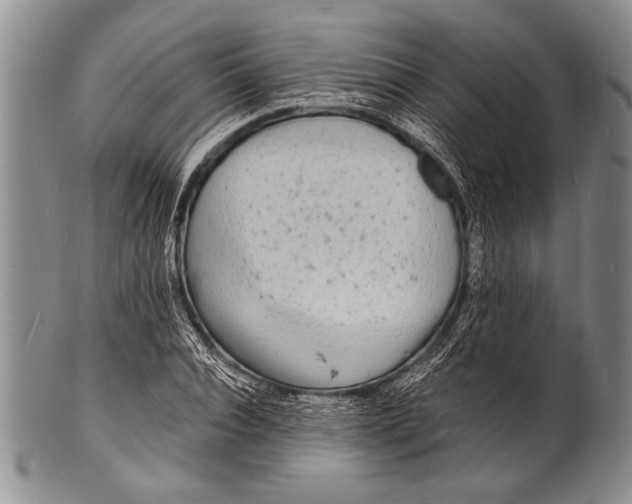 X0000100310928200806261159