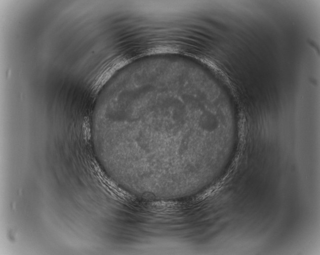 X0000100310929200806261159