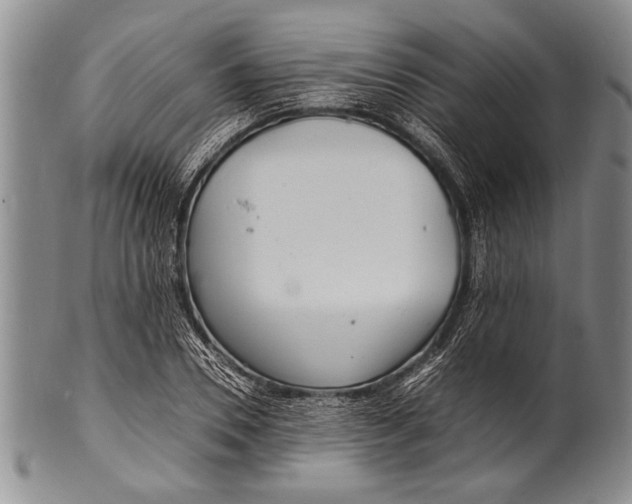 X0000100310930200806261159