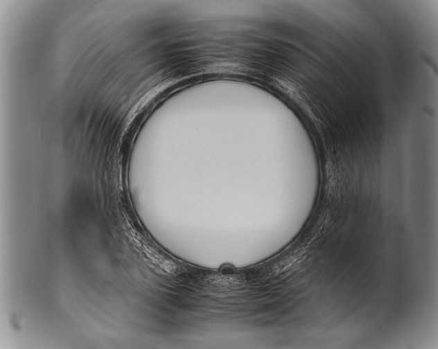 X0000100310931200806261159