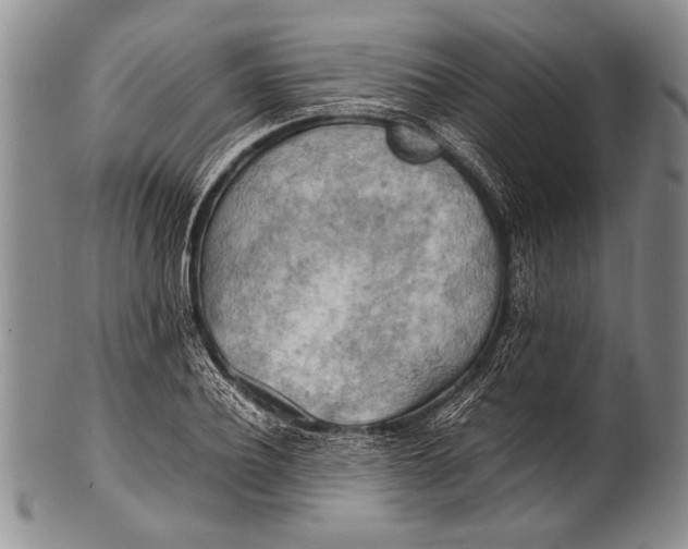 X0000100310932200806261159