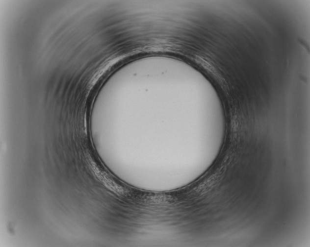 X0000100310934200806261159