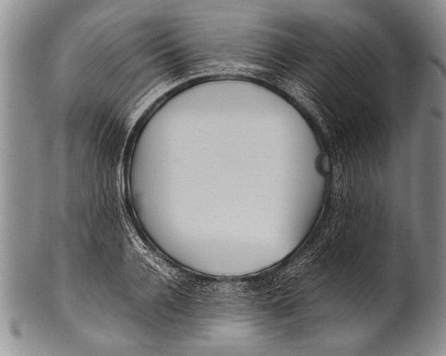 X0000100310936200806261159