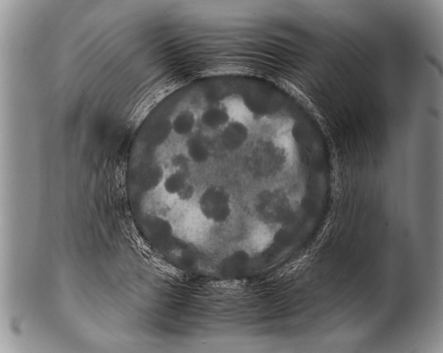 X0000100310937200806261159