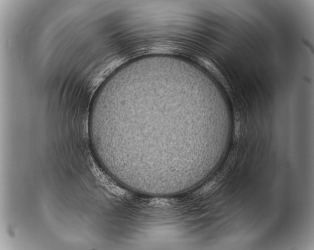 X0000100310938200806261159