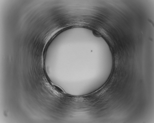 X0000100310940200806261159