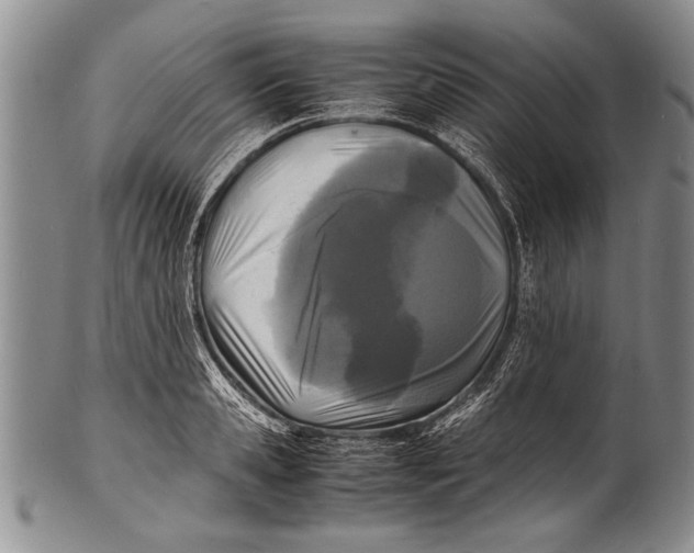 X0000100310941200806261159