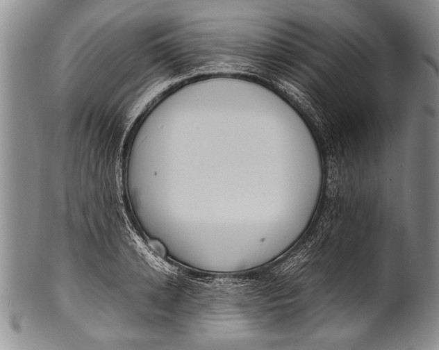 X0000100310942200806261159