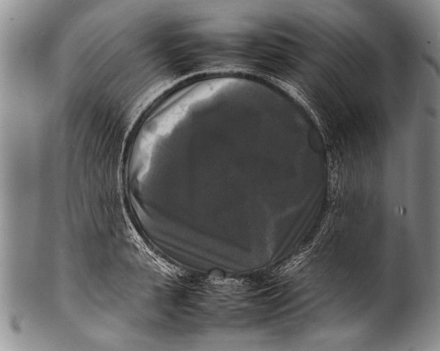 X0000100310943200806261159