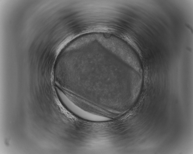 X0000100310944200806261159