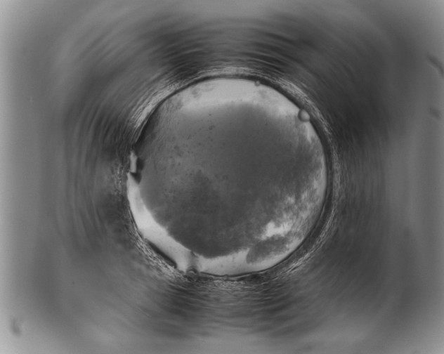 X0000100310945200806261159