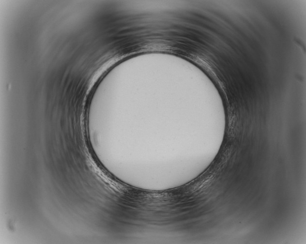 X0000100310947200806261159