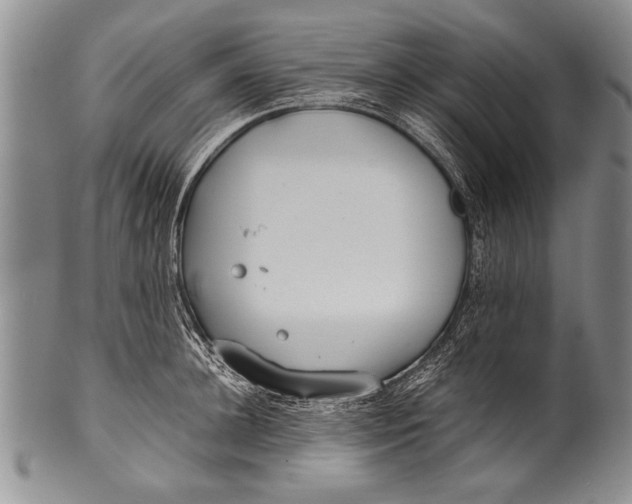 X0000100310948200806261159