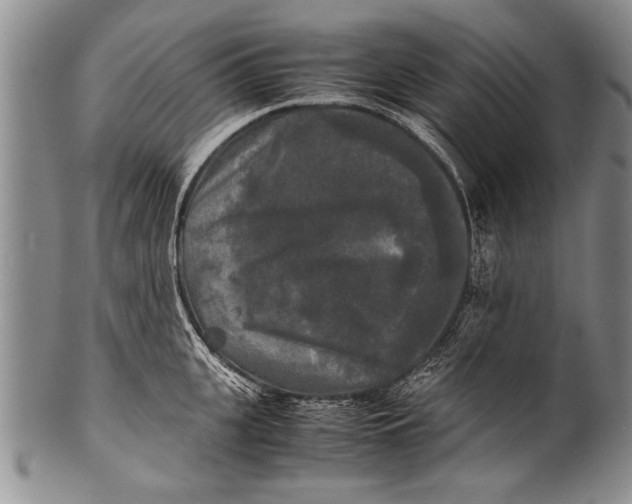 X0000100310951200806261159