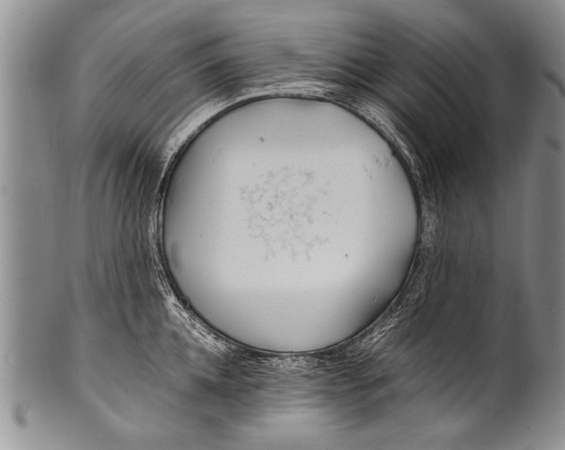 X0000100310952200806261159