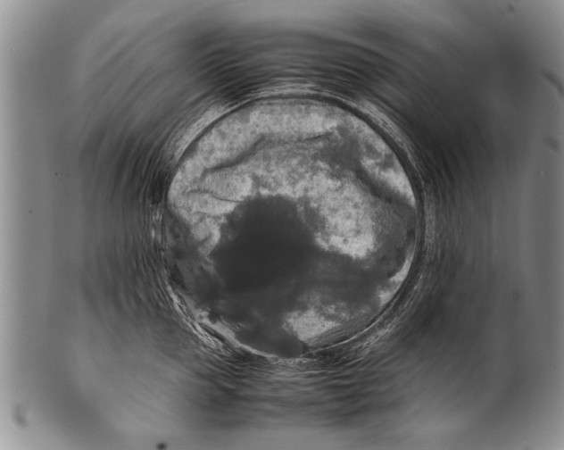 X0000100310953200806261159