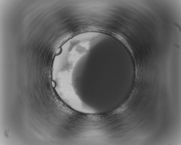 X0000100310954200806261159