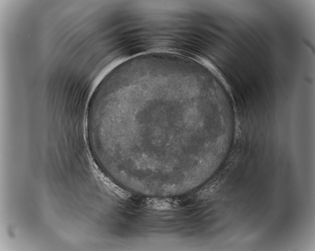 X0000100310955200806261159