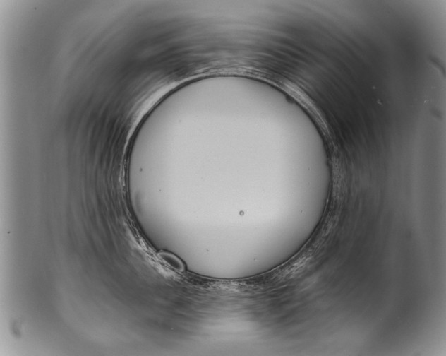 X0000100310956200806261159