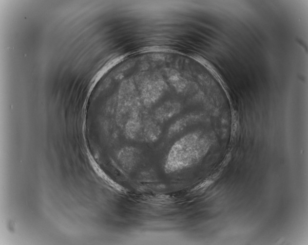 X0000100310957200806261159