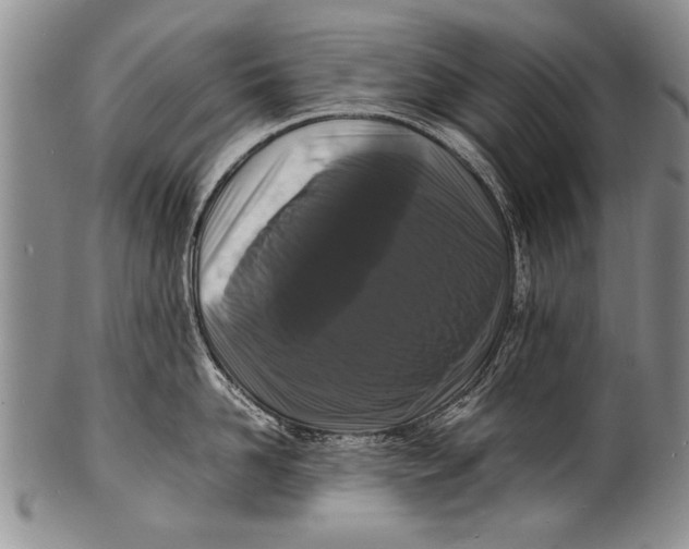 X0000100310958200806261159