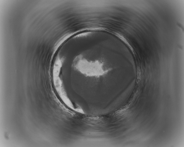 X0000100310959200806261159