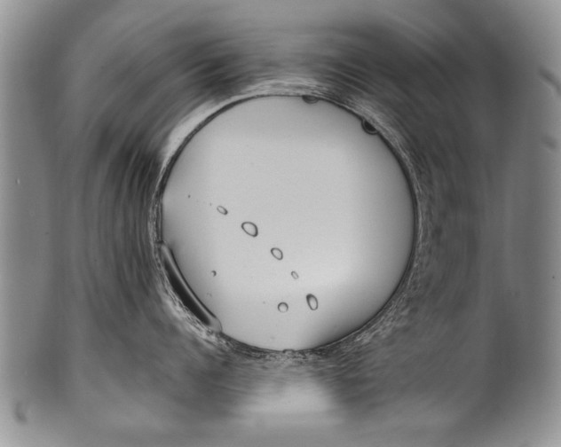 X0000100310960200806261159