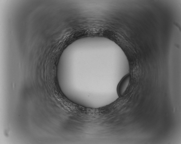 X0000100310961200806261158