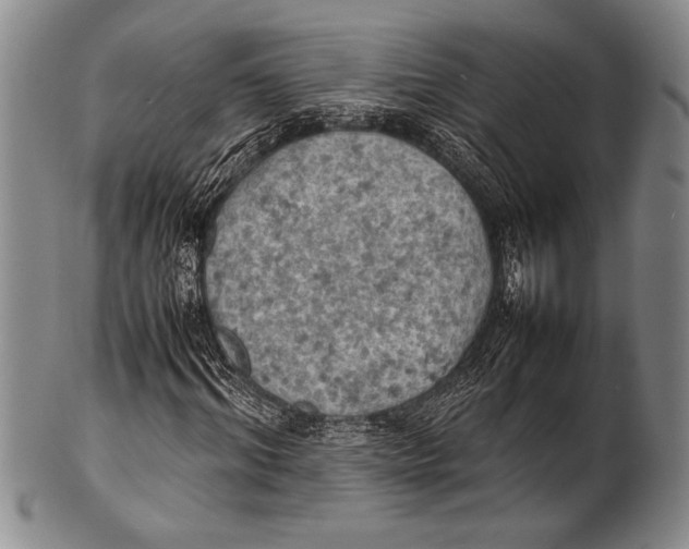 X0000100310964200806261158