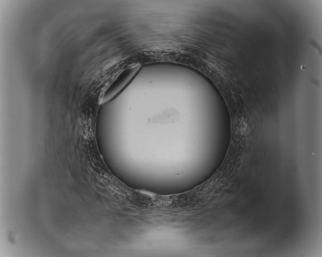 X0000100310965200806261158