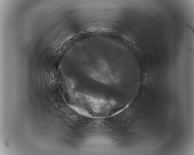 X0000100310966200806261158