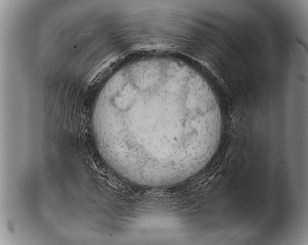 X0000100310967200806261158