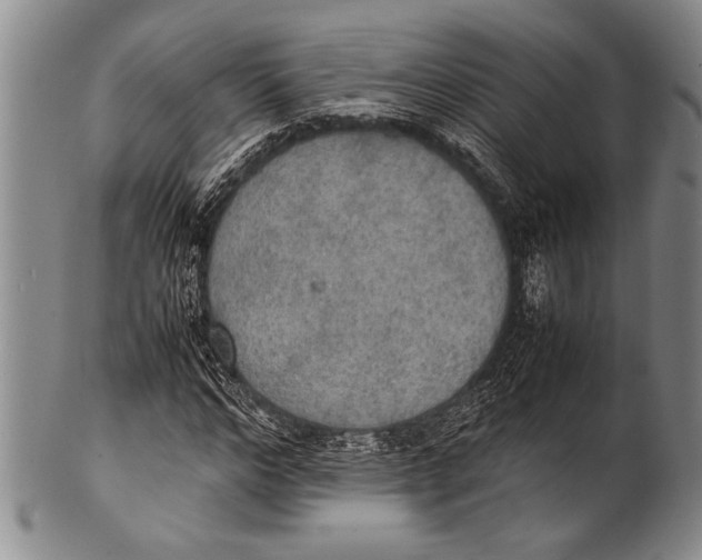 X0000100310968200806261158