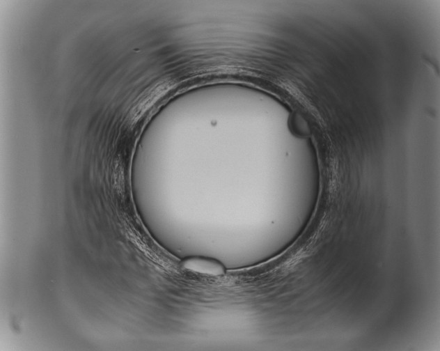 X0000100310969200806261158