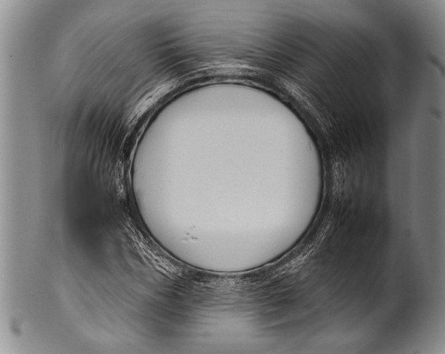 X0000100310970200806261158