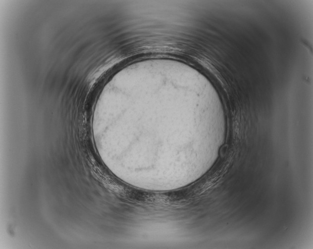 X0000100310971200806261158