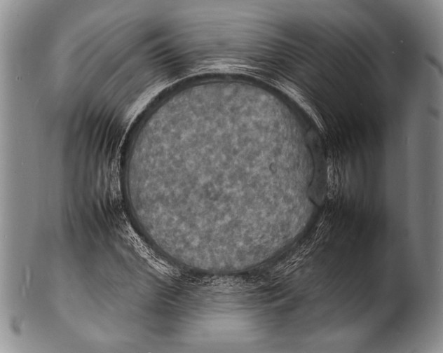 X0000100310972200806261158