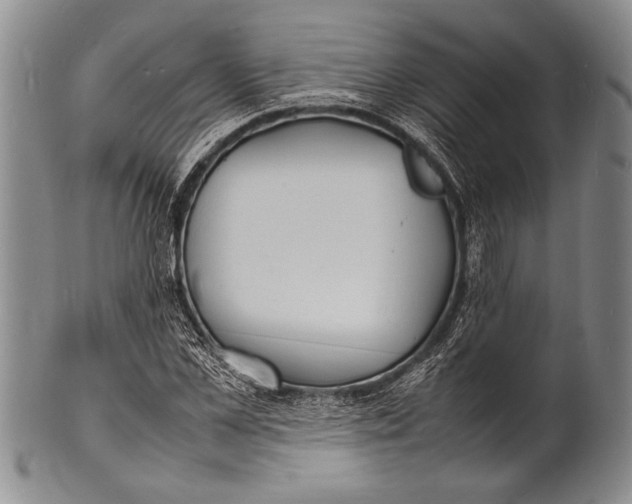 X0000100310973200806261158