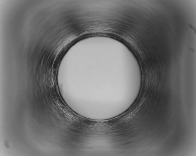 X0000100310974200806261158