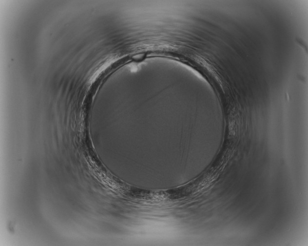 X0000100310975200806261158