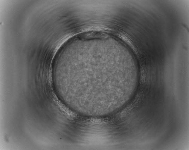 X0000100310976200806261158