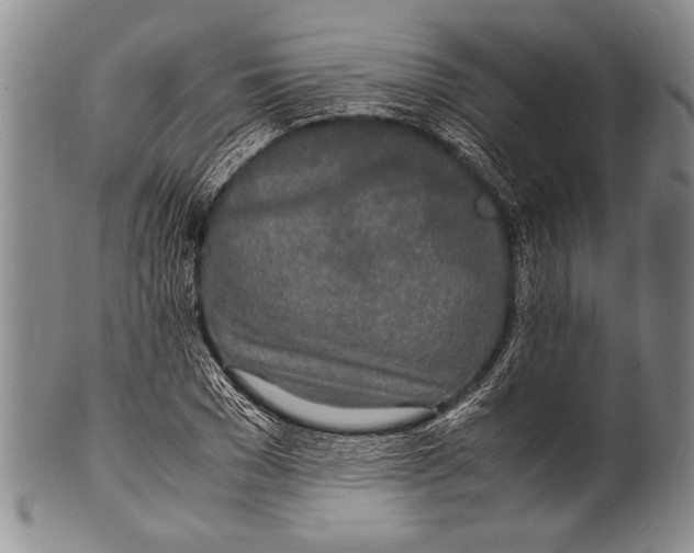 X0000100310977200806261158