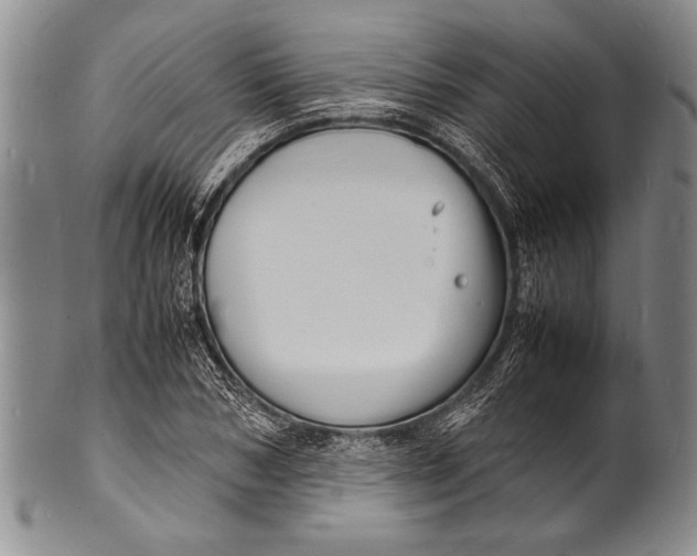 X0000100310978200806261158