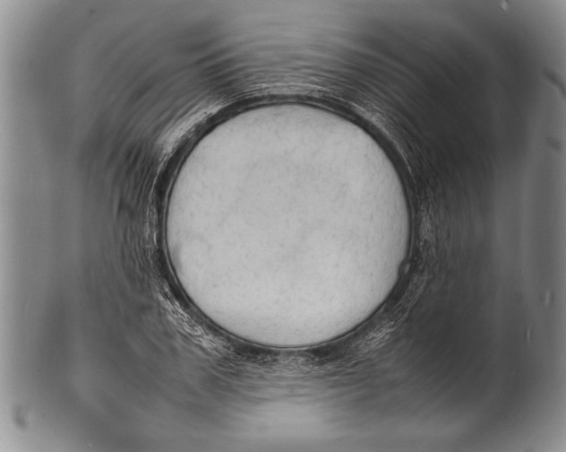 X0000100310979200806261158